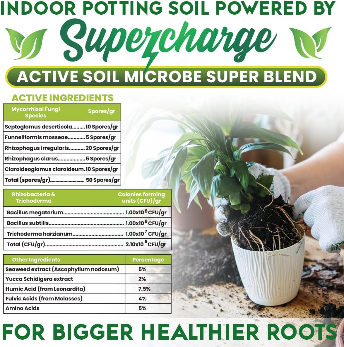 Smart Grower Organic Potting Soil for Indoor Plants