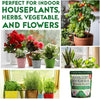 Smart Grower Organic Potting Soil for Indoor Plants
