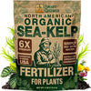 Smart Grower Organic North American Sea-Kelp fertilizer - 2oz