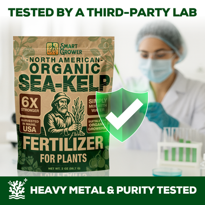 Smart Grower Organic North American Sea-Kelp fertilizer - 2oz