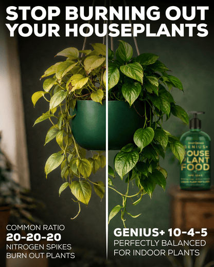 Smart Grower Genius+ Liquid Houseplant Food