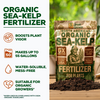 Smart Grower Organic North American Sea-Kelp fertilizer - 2oz