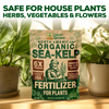 Smart Grower Organic North American Sea-Kelp fertilizer - 2oz