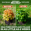 Smart Grower Organic North American Sea-Kelp fertilizer - 2oz