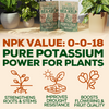 Smart Grower Organic North American Sea-Kelp fertilizer - 2oz