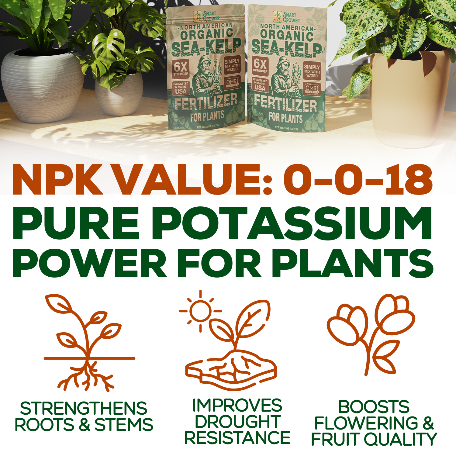 Smart Grower Organic North American Sea-Kelp fertilizer - 2oz