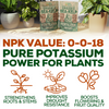 Smart Grower Organic North American Sea-Kelp fertilizer - 2oz