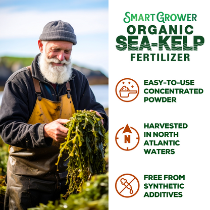 Smart Grower Organic North American Sea-Kelp fertilizer - 2oz