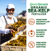 Smart Grower Organic North American Sea-Kelp fertilizer - 2oz