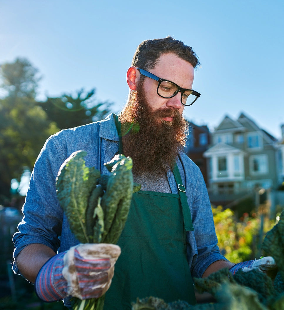 Plant Growth & Nutrition